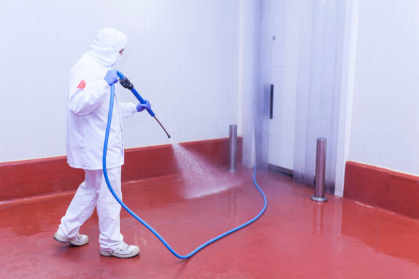 Best Building Exterior Pressure Washing in Matoaca, VA