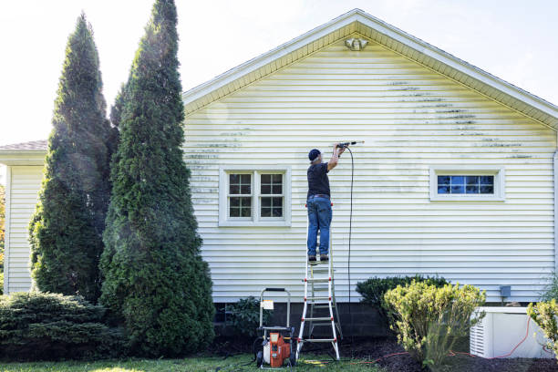 Best Roof Cleaning and Mildew Removal in Matoaca, VA